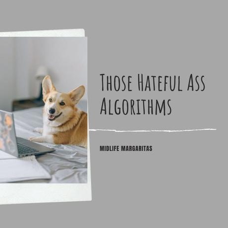 Open Letter to the Downright Hateful Ass Algorithms on Social Media All Over The World