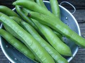 Broad Bean Bonanza