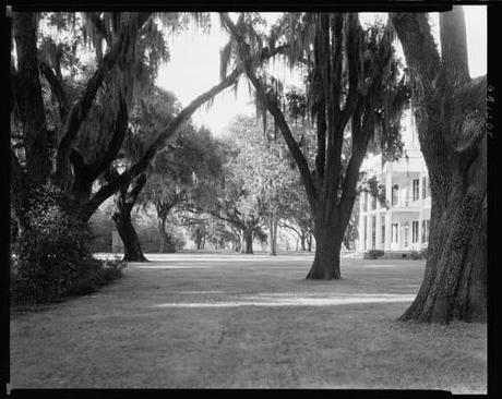 Caleb and I are departing from Brooklyn at 3am tomorrow morning, and driving down to Savannah, Georgia, where he grew up. We’ll be gone for a week. If I don’t get lost in a haunted plantation (or in the toilet after too many crabs), I’ll be blogging. A bit. But I promised not too much. 
When I’m back, I’ll have stories and photographs to share in abundance.