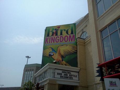 Bird Kingdom