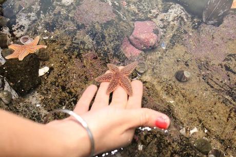 Starfish In my hands :)