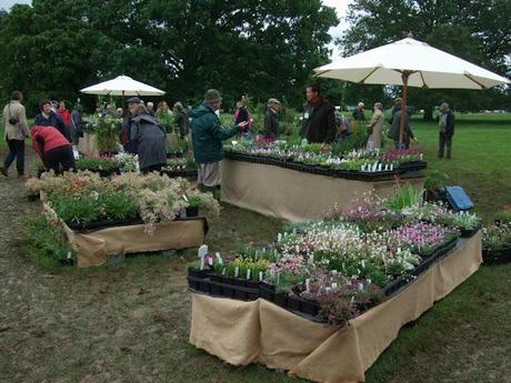 Cottesbrooke Gardeners' Fair 2012