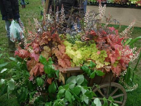 Cottesbrooke Gardeners' Fair 2012
