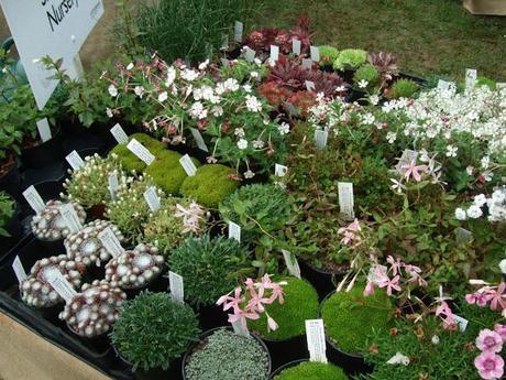 Cottesbrooke Gardeners' Fair 2012