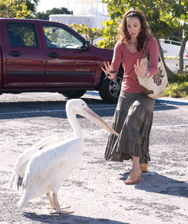 Lucy & Ricky, African Great White Pelicans Are Scene Stealers In 