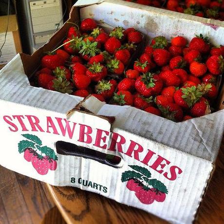 Flat of Michigan Strawberries