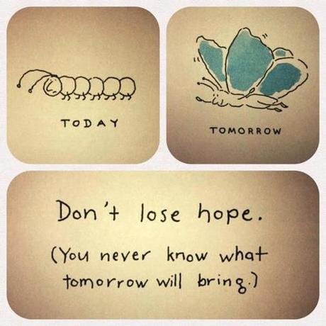 dont lose hope