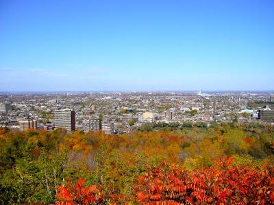 rosé in montréal