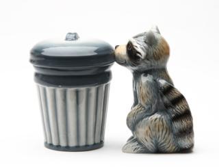 Raccoon and Trash Can Salt and Pepper Shakers