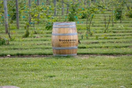 Wisconsin Wineries (10 of 46)