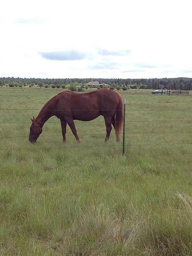 Pacific Crest 1/2 marathon 2012