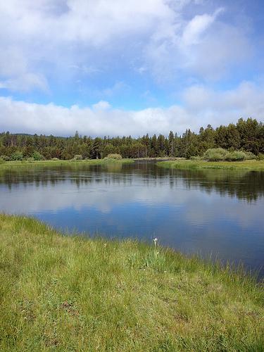 Pacific Crest 1/2 marathon 2012