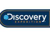 Have Next Idea Outdoor Gear?