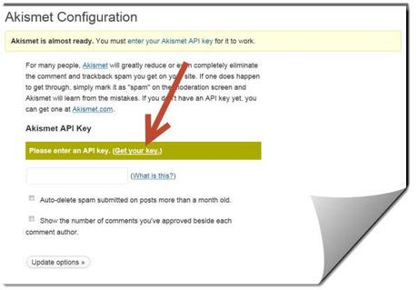 Akismet Plugin Settings Page image