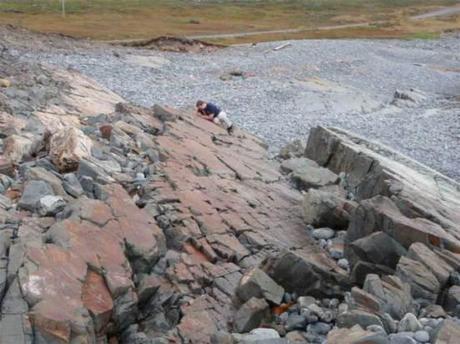Mistaken Point Ecological Reserve, Newfoundland, where researchers discover ancient forms of animal life: Credit: Oxford University, Alex Liu, via livescience