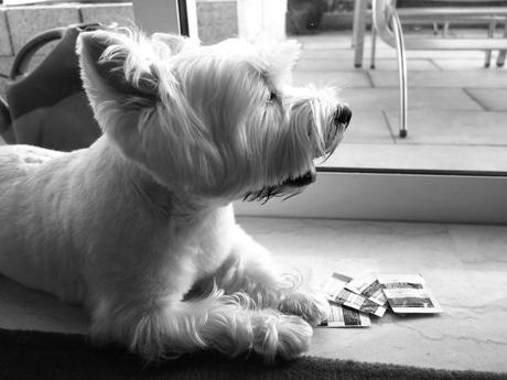 Speechless SG Sunday