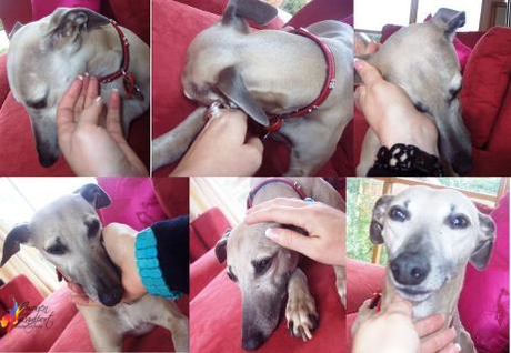 Hands Imogen Lamport Give Yourself a Hand