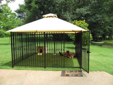 Canine Castle Windsor Kennel