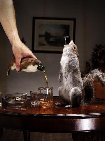 Special edition taxidermy beers sold for $765 a piece.