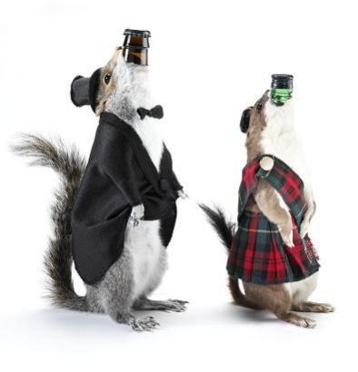 Weasels and squirrels are used as bottle holders.