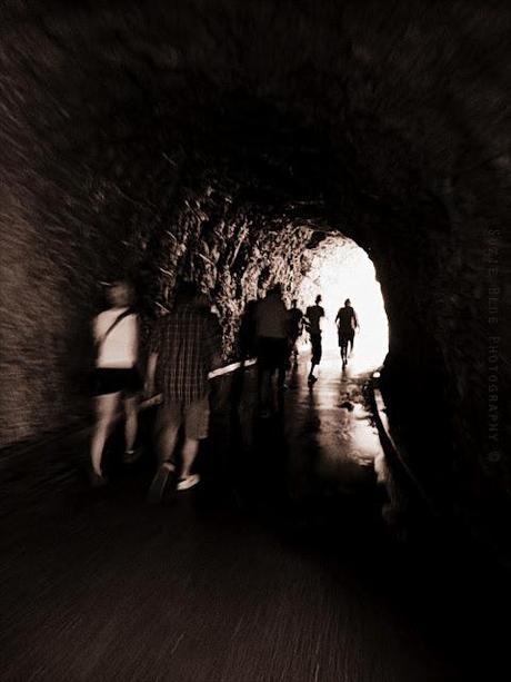 Into the Light