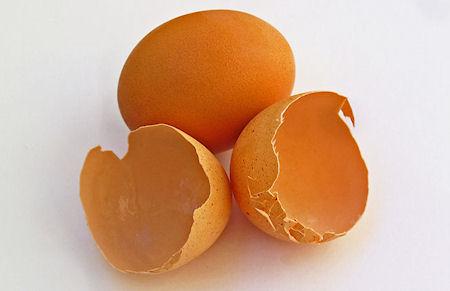 5 New Uses For Eggshells