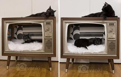 DIY cat bed: by Melissa via moderncat.net
