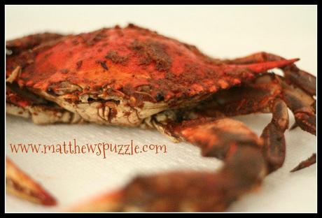 Wordless Wednesday Maryland Steamed Crabs