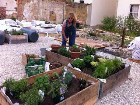 these crates look like raised beds