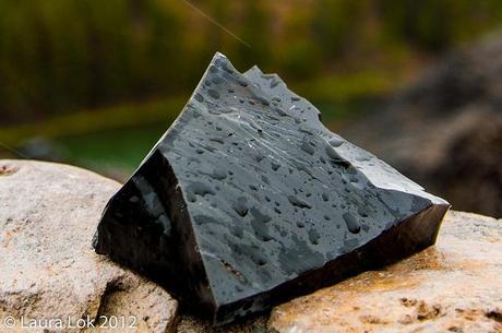 newberry volcano