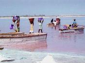Lake Retba 'Strawberry' Senegal