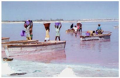 Lake Retba - 'Strawberry' Lake In Senegal
