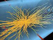 Reasons 'God Particle' Matters