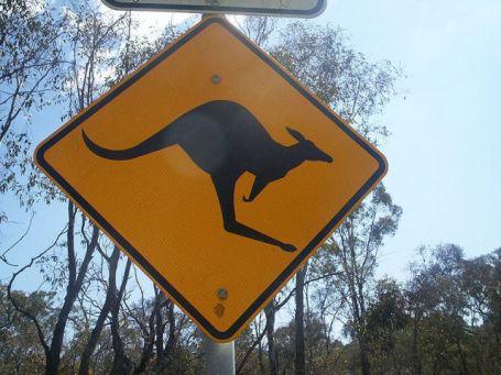 Kangaroo Crossing Sign (Photo Source: GNU/Creative Commons via Wikimedia)