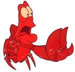 …find life under the sea