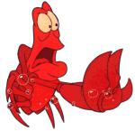 …find life under the sea