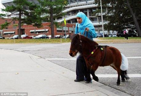 Guide horse, Cali, acceptable in a Muslim household: ©AFP, Getty images, via dailymail.co.uk
