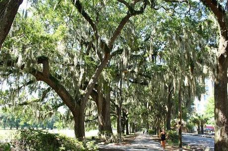 36 Hours In Savannah