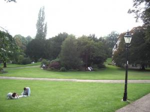 The reader’s dilemma