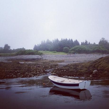 Wilder Pictures + Beautiful Thing of the Day: Indian Island