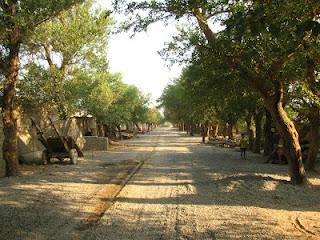 Riding The Silk Road With Tour d'Afrique