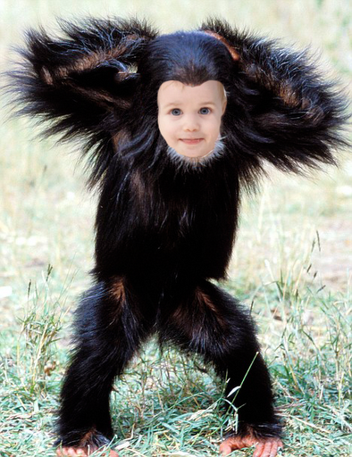 baby-chimpmikijared-2012-07-6-12-01.png