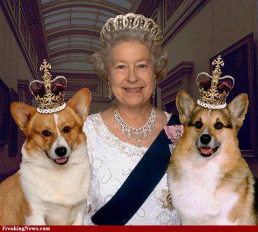 Queen Elizabeth & two of the Royal Corgis
