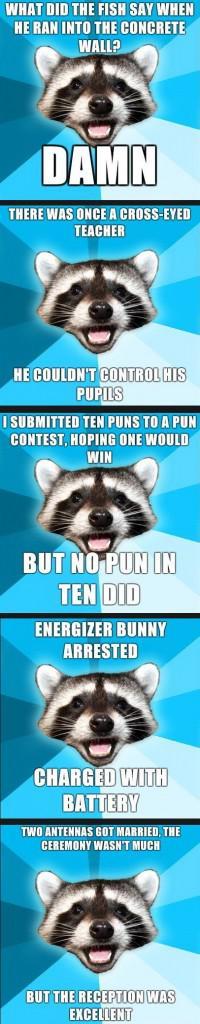 Bad Pun Raccoon Meme