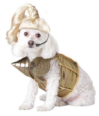 Blond Hambition Dog Costume: image via costumekingdom.com