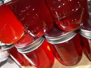 Sand or Chickasaw Plum Jam and Jelly