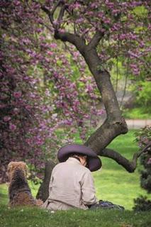 Book Review: American Gardens by Monty Don and Derry Moore