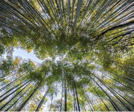 27 things to do in Tokyo