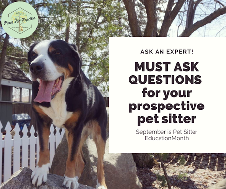 MUST ASK QUESTONS for your prospective pet sitter for September Pet Sitter Education Month