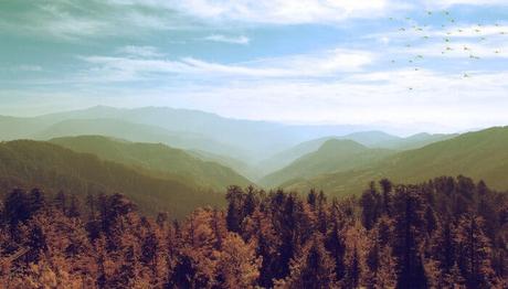 A Mini Guide For Your Next Vacation!